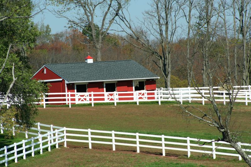 Barn Siding Painting